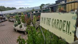 Fabulous Garden Centre On The Edge Of Ipswich Just Ten Mins From Us We Ve Loads From There Including All The Plants Fo Garden Nursery Garden Center Ipswich