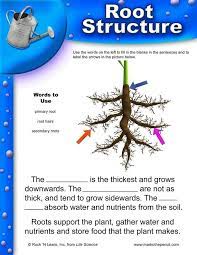 Pin By Margaret Anne On Grade 3 Science Words To Use Lab Activities Grade 3 Science