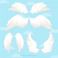 Baixe Asas De Anjos Brancos Gratuitamente Em 2020 Asas De Anjo Asas Asas De Passaro
