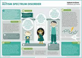There is often nothing about how people with asd look. Autism Spectrum Disorder Nature Reviews Disease Primers