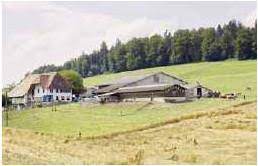Es gibt 2 verschiedene straßen. Meikirch Bieler Tagblatt