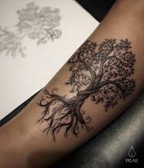 Thomas Kammermeier (kammermeier2190)