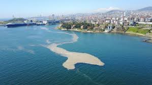 Marmara denizinde 2 aydır etkili olan ve balıkçılar arasında 'kaykay' diye adlandırılan deniz salyası tekirdağlı balıkçıları erken paydos ettirdi. Marmara Da Deniz Salyasi Alarmi Zehirli Mi Zararli Mi Neden Olusuyor