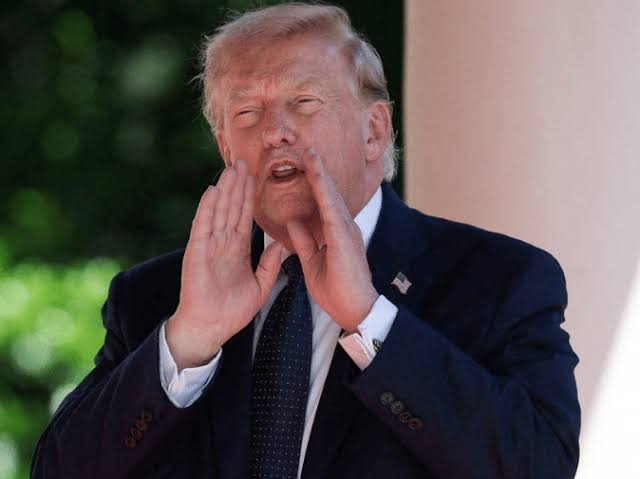 Trump e Bolsonaro Jr: Daniela Lima diz que presidente mente no G7