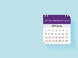 Your Menstrual Cycle Womenshealth Gov