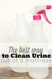 Ow To Get Pee Out Of Mattress How To Get Urine Out Of Mattress Cleaning House Cleaning Tips Cleaning Hacks