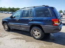 Image result for Patriot Blue 2004 Jeep