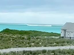 SURFER Magazine - News update