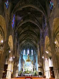 Image result for Eulalia polyneura