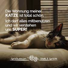 Die Wohnung Meiner Katze Ist Total Schon Ich Darf Alles Mitbenutzen Und Wir Verstehen Uns Super Fun Witzige Spruche