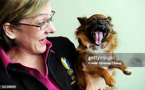 220 Cara Com Cara Stock Photos, High-Res Pictures, and Images