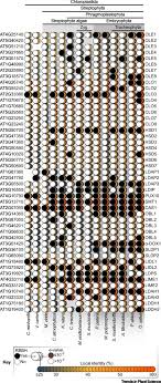 Check spelling or type a new query. Ties Between Stress And Lipid Droplets Pre Date Seeds Trends In Plant Science