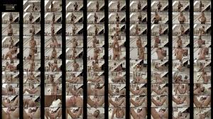 Lucy Cat solo No 1 - XNXX.COM