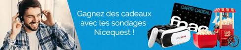 As a member, you can access pending surveys, participate in activities and get gifts anytime, anywhere. Nouveau Site De Sondages Remuneres Nicequest Tests Et Bons Plans Pour Consommer Malin