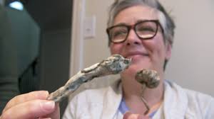 Dosed: The Trip of a Lifetime