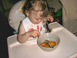 Everything we sell is made by hand and from scratch in our kitchen. Pin On Baby Food
