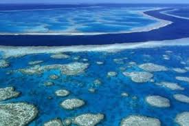 Check spelling or type a new query. Care Este DiferenÈ›a Dintre Mare È™i Ocean Totcum Com