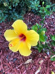 We did not find results for: Codepen Tribute