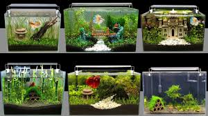 How to make homemade fish tank decorations. Diy Aquarium Decorations Fishkeeping World