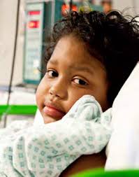 Impact Report 2012/13