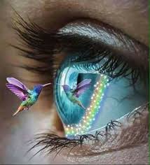 Https Www Facebook Com Photo Php Fbid 111541029705658 Augenzeichnungen Augen Fotografie Dreamies Bewegliche Bilder