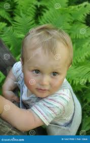 1,330 Ladder Fern Stock Photos