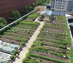 Oestergro A Urban Farm Landscape Made In Denmark 1001 Gardens Urban Farming Rooftop Garden Urban Garden