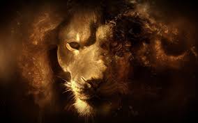 lion face wallpapers wallpaper cave