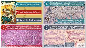 Maybe you would like to learn more about one of these? Our Journey Beyond Sunset Boulevard Evidence Based Analysis Of Tumor Targeted Cancer Gene Therapy Shines A Critical Spotlight On Long Term Cancer Free Survival Intechopen
