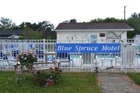 Maybe you would like to learn more about one of these? About Blue Spruce Stay In Port Austin