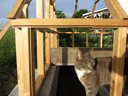 Image result for site:byggahus.se lärk