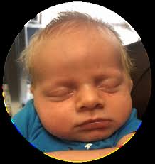 Franciscan Daughters of Mary