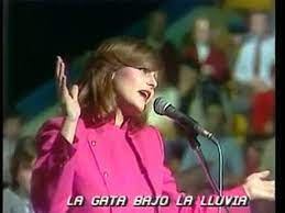 We did not find results for: Rocio Durcal Gata Bajo La Lluvia Video Dailymotion