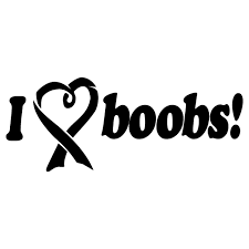 I love boobs, i love them all. Sweat Shirt Jdm I Love Boobs