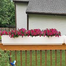 I have been searching for boxes for a while and we have had window boxes for over twenty years, which badly needed replacing. 4 Foot Long 48 Modern Deck Balcony Rail Top Outdoor Pvc Planter