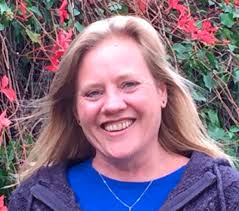 Wider Countryside Butterfly Survey Annual Newsletter 2019 Season