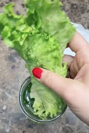 This way, you have a salad in a bag ready to be tossed on the plate whenever you please. Keep Lettuce Fresh For A Month With This Viral Hack