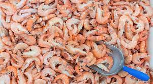 Can Dogs Eat Shrimp What Happens When They Do