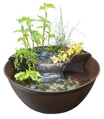 This collection contains marginals, oxygenators, waterlilies, deep water and floating plants. Aquagarden Mini Pond Kit Splash Online Store