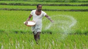 Kerala , the state located in the southern tip of india is bordered by arabian sea and the extensive network of azure backwaters, rivers and streams, boasts of an agrarian economy. Cabinet Approves Ordinance For One India One Agriculture Market India General Kerala Kaumudi Online