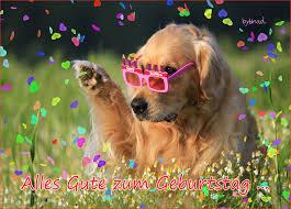 Golden Retriever Happy Birthday Alles Gute Geburtstag Alles Gute Zum Geburtstag Freundin Geburtstagswunsche