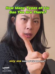 Exploring the Delightful Varieties of Chinese Milk Tea