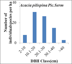 Image result for Acacia pilispina