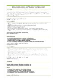 Technical Support Executive Resume Example