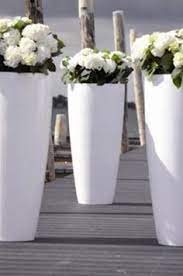 plantenbakken tuinpotten potbloemen tuin