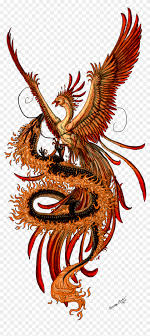 509,565 likes · 134 talking about this. Phoenix Tattoo Designs Female Dragon And Phoenix Hd Png Download 900x1943 1049491 Pngfind