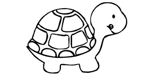 Turtle Coloring Pages For Kids Preschool And Kindergarten Turtle Coloring Pages Owl Coloring Pages Farm Animal Coloring Pages