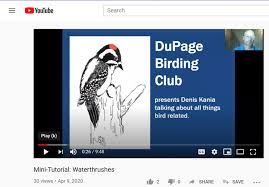 News Dupage Birding Club