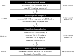 Image result for Status Epilepticus