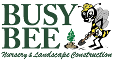 Busybeeflowers #newtonflowers #watertown #watertownflowers #flowerstore #flowers #newton #bostonflowers #floral #bouquet #florist #floraldesign #igboston #цветывсша #цветысша #igflowers #roses #pink #tulips #purple. Plants Flowers Busy Bee Nursery Landscape Construction